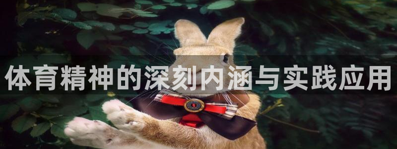 欧亿体育官方正版app新能源：体育精神的深刻内涵与实践应用