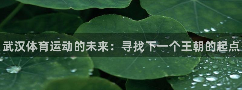 oety欧亿体育官网下载招商：武汉体育运动的未来：寻找下一个