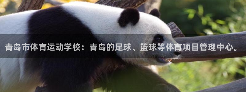 oety欧亿体育官网下载招商电话地址是多少：青岛市体育运动学
