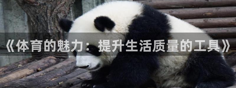 oety欧亿体育官网下载平台注册要钱吗：《体育的魅力