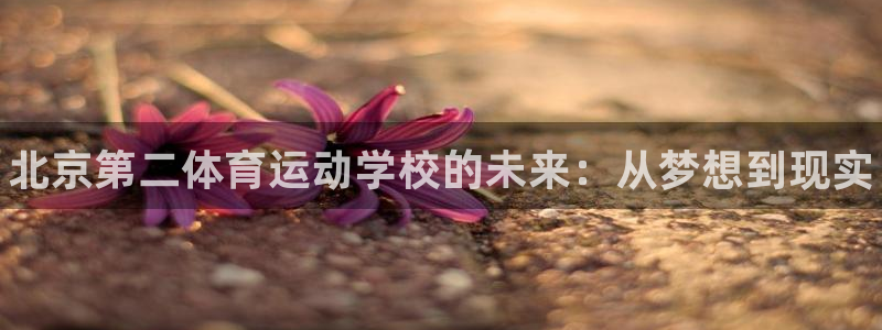 oety欧亿体育官网下载招商电话地址是多少