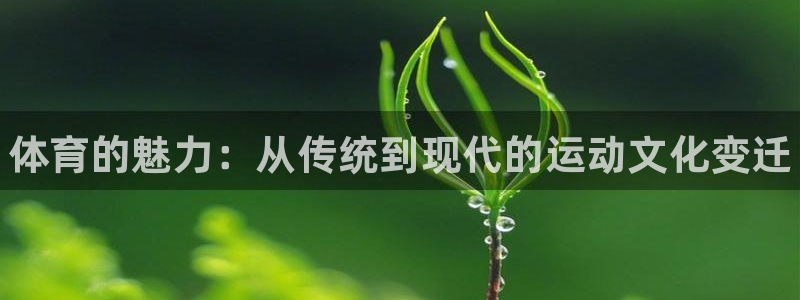 oety欧亿体育官网下载招商电话地址查询