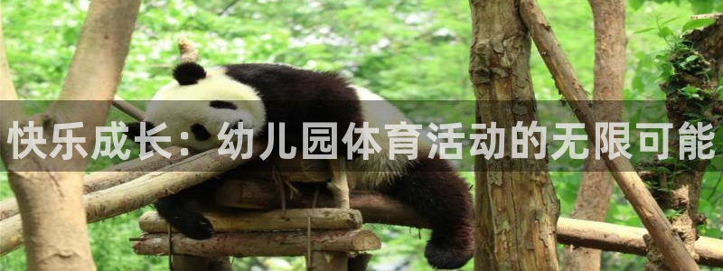 欧亿体育官方集团官网：快乐成长：幼儿园体育活动的无限可能