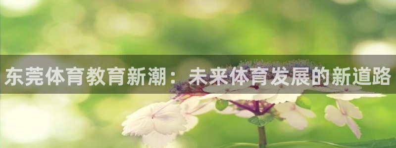 oety欧亿体育官网下载招商电话号码查询
