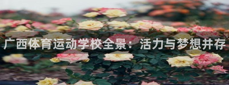 oety欧亿体育官网下载招商电话号码：广西体育运动学