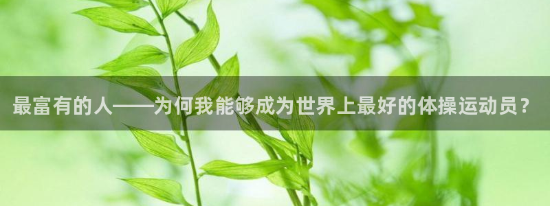 oety欧亿体育官网下载招商电话地址查询：最富有的人——为何