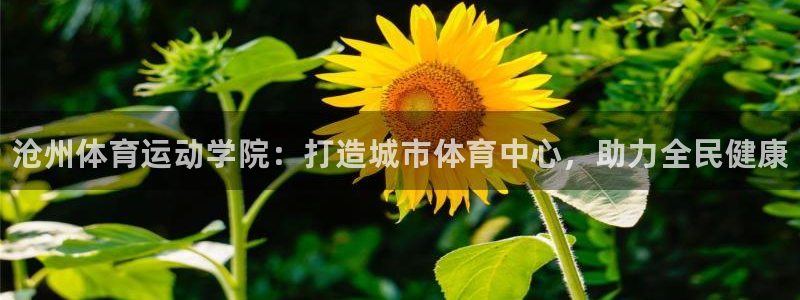 oety欧亿体育官网下载招商电话是多少啊