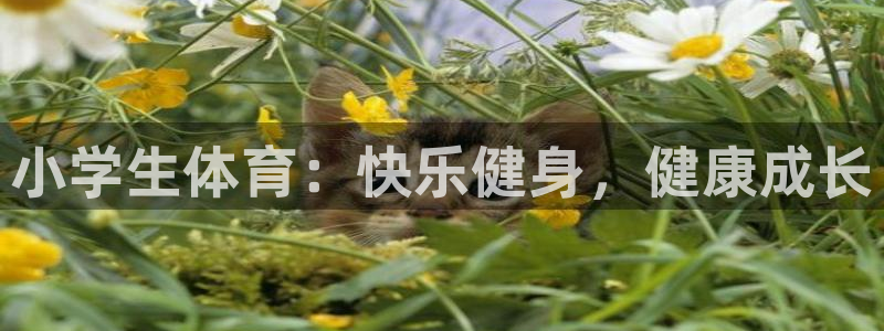 欧亿体育官方正版app官网：小学生体育：快乐健身，健