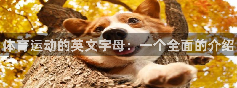 欧亿体育官方正版app神州：体育运动的英文字母：一个