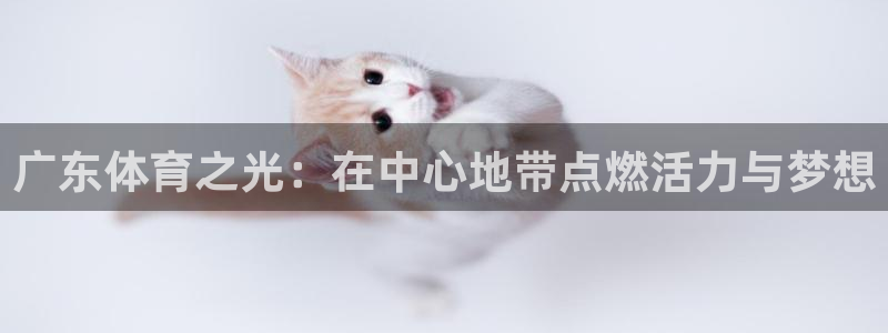 欧亿体育官方正版app娱乐下载