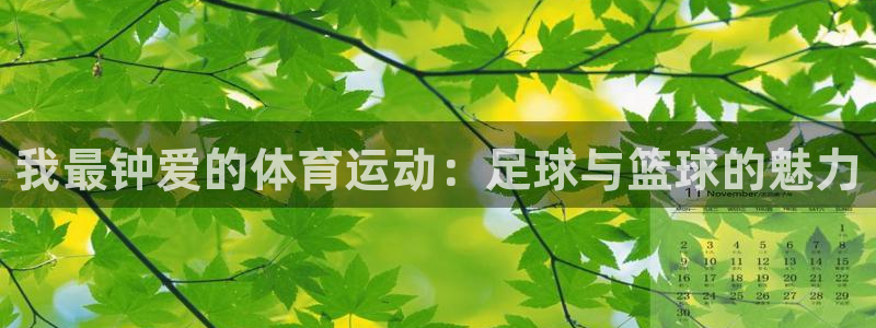 德国欧亿体育官方正版app集团：我最钟爱的体育运动：足球与篮