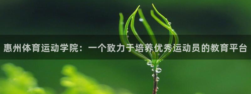 欧亿体育官方集团官网：惠州体育运动学院：一个致力于培养优秀运