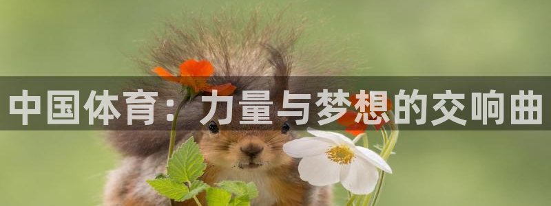 欧亿体育官方正版app集团官网网址：中国体育：力量与梦想的交
