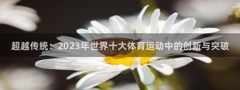 oety欧亿体育官网下载软件：超越传统：2023年世界十大体
