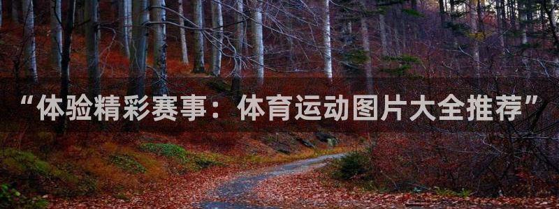 欧亿体育官方正版app娱乐40996：“体验精彩赛事：体育运