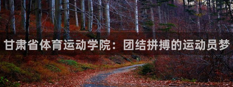 欧亿体育官方正版app娱乐首页官网下载：甘肃省体育运