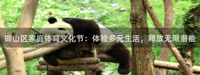 oety欧亿体育官网下载招商电话地址：邯山区家庭体育文化节：